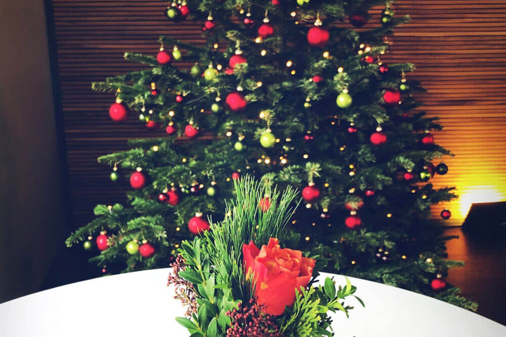 SchäferRolls - ICE Europa 2023